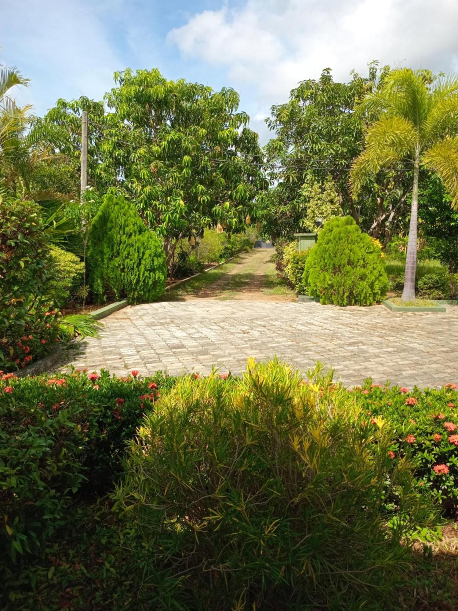 Sunshine Holiday Resort -Sella Kataragama Buitenkant foto