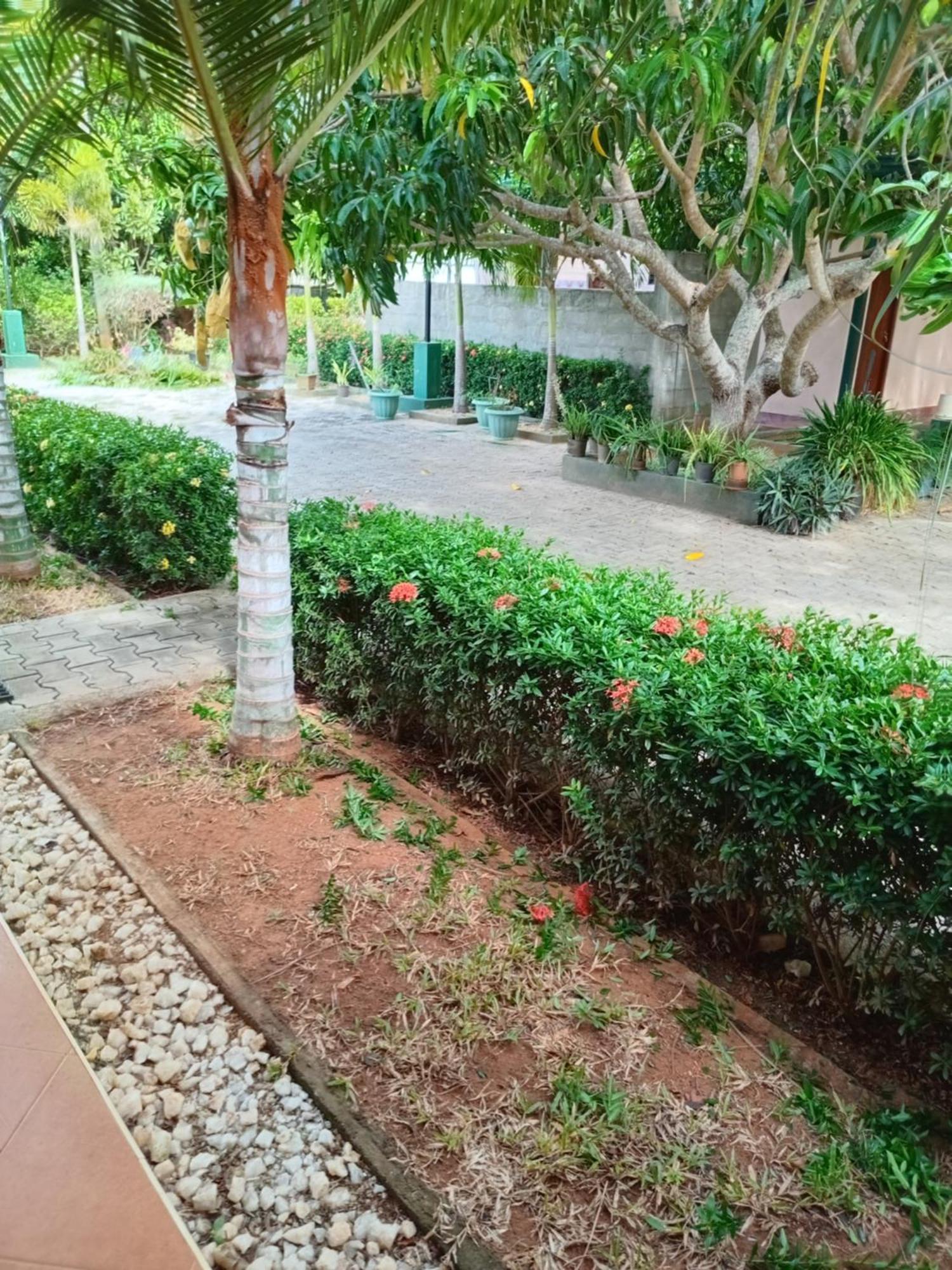 Sunshine Holiday Resort -Sella Kataragama Buitenkant foto